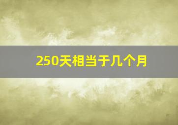 250天相当于几个月