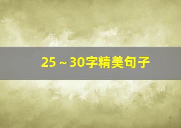 25～30字精美句子