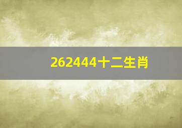 262444十二生肖