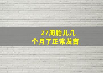 27周胎儿几个月了正常发育