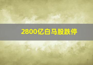 2800亿白马股跌停