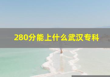 280分能上什么武汉专科