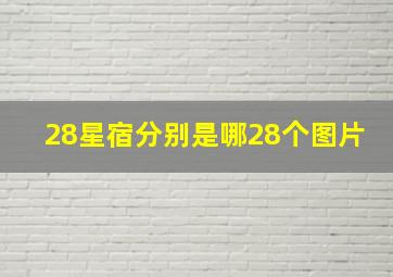 28星宿分别是哪28个图片