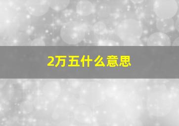 2万五什么意思