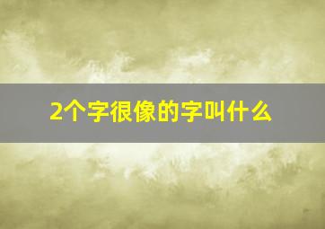 2个字很像的字叫什么