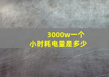 3000w一个小时耗电量是多少