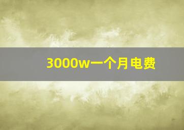 3000w一个月电费