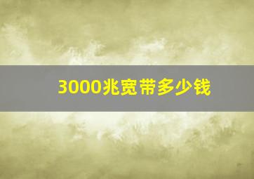 3000兆宽带多少钱