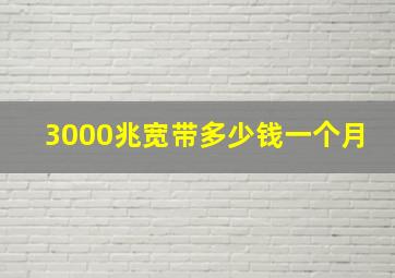 3000兆宽带多少钱一个月