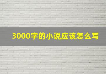 3000字的小说应该怎么写