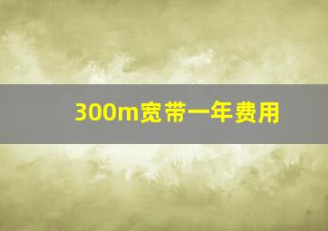 300m宽带一年费用