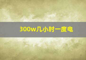 300w几小时一度电