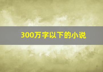 300万字以下的小说