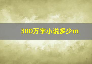 300万字小说多少m