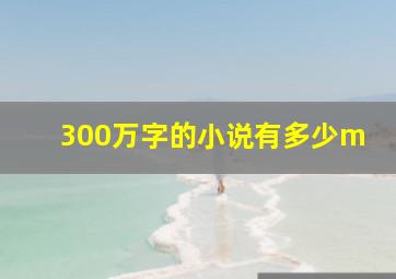 300万字的小说有多少m