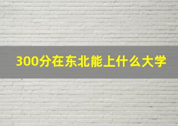 300分在东北能上什么大学