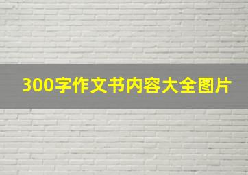 300字作文书内容大全图片