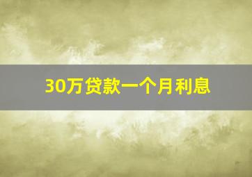 30万贷款一个月利息