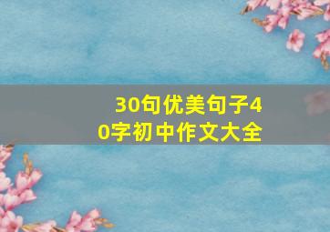 30句优美句子40字初中作文大全