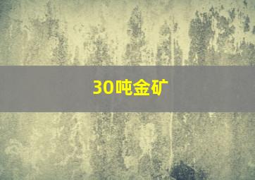 30吨金矿