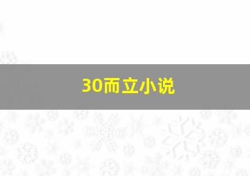 30而立小说