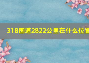 318国道2822公里在什么位置