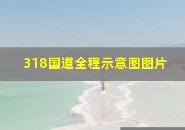 318国道全程示意图图片