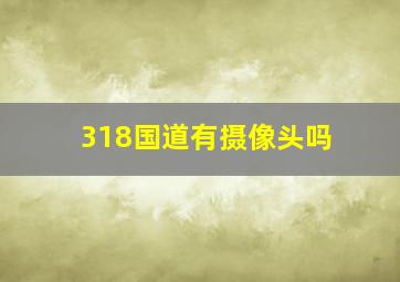 318国道有摄像头吗