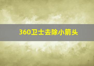 360卫士去除小箭头