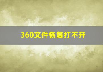 360文件恢复打不开