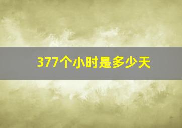 377个小时是多少天