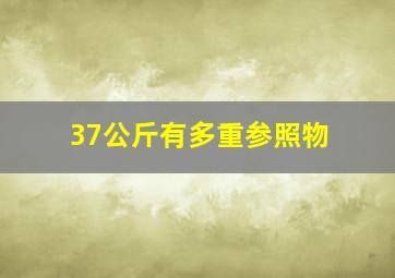 37公斤有多重参照物