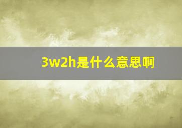 3w2h是什么意思啊