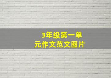 3年级第一单元作文范文图片