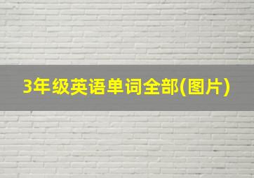 3年级英语单词全部(图片)