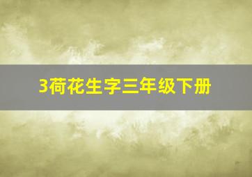 3荷花生字三年级下册