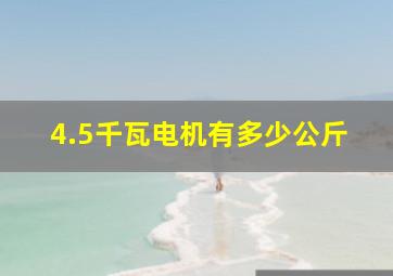 4.5千瓦电机有多少公斤