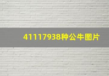 41117938种公牛图片