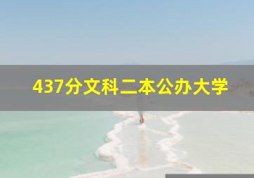 437分文科二本公办大学