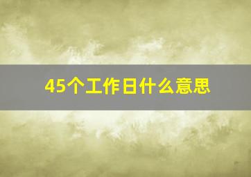 45个工作日什么意思