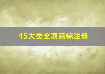 45大类全项商标注册