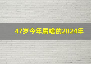 47岁今年属啥的2024年