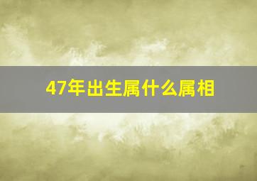 47年出生属什么属相