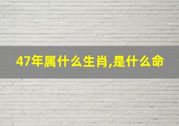 47年属什么生肖,是什么命