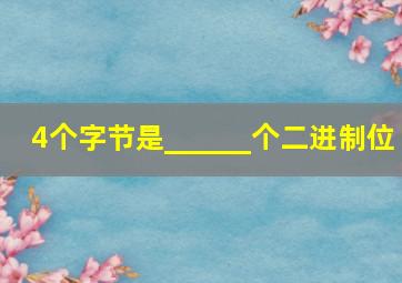 4个字节是______个二进制位