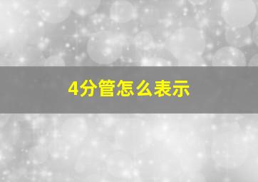 4分管怎么表示