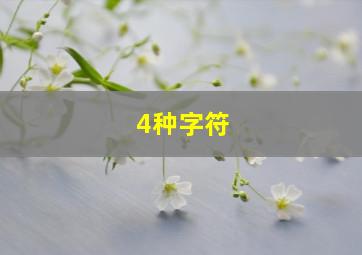 4种字符