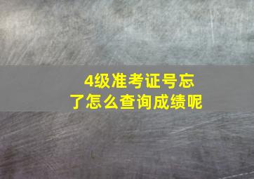 4级准考证号忘了怎么查询成绩呢