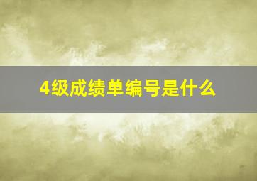 4级成绩单编号是什么