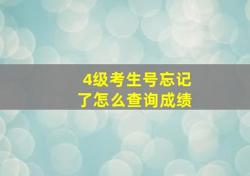 4级考生号忘记了怎么查询成绩